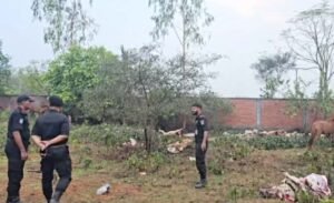 রূপগঞ্জে জবাই করা ৯টি ও জীবিত ১১টি ঘোড়া উদ্ধার !