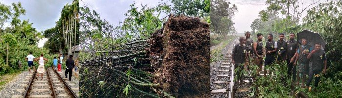ঠাকুরগাঁওয়ে ঝড়ে বাঁশঝাড় উপড়ে পড়ে অবরুদ্ধ রেললাইন, আনসার-ভিডিপির দুই ঘণ্টায় অপসারণ